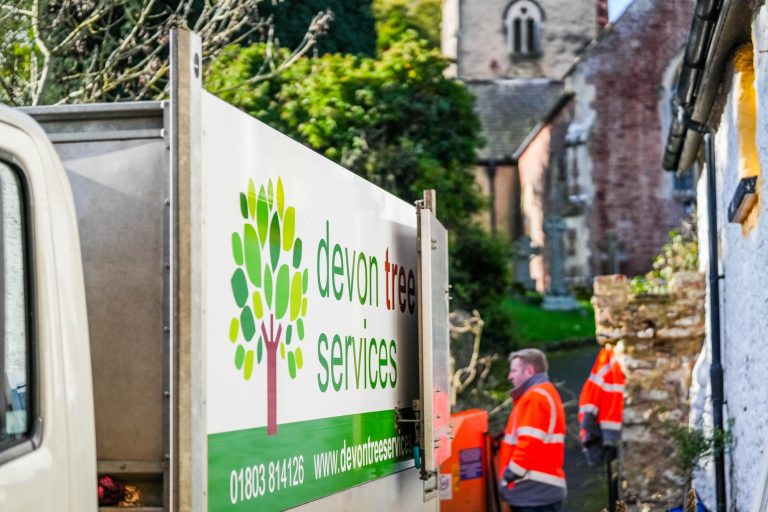 Devon Tree Services