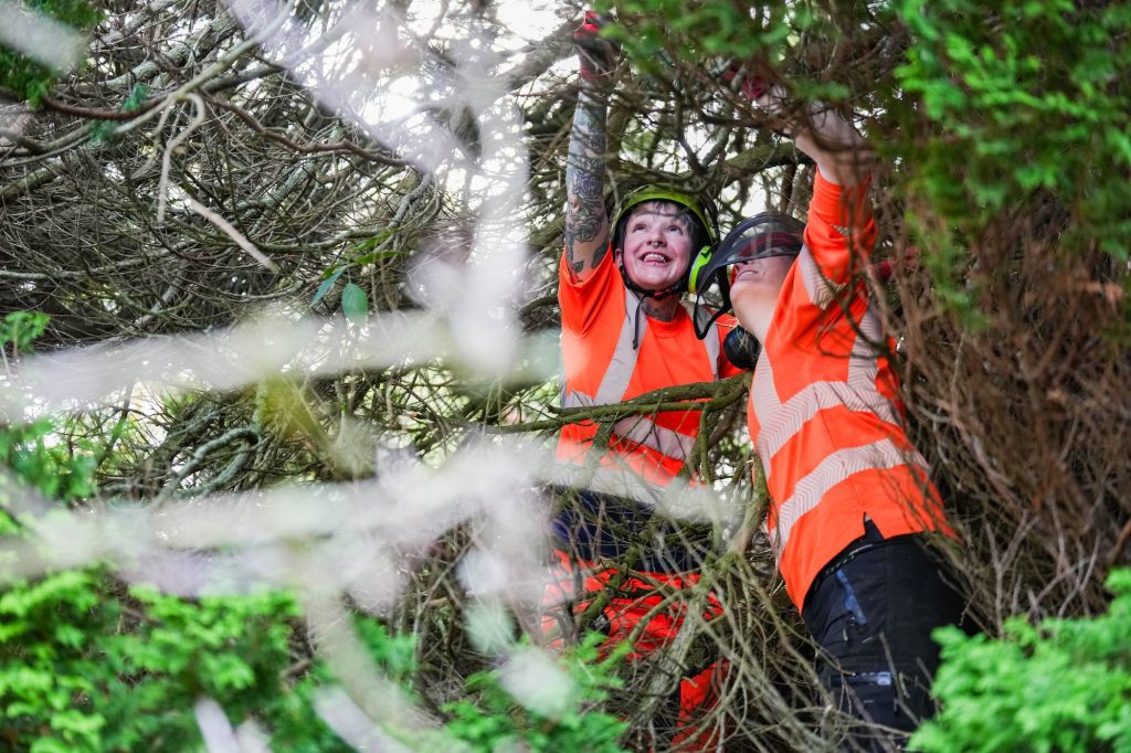 Prune Trees in Devon