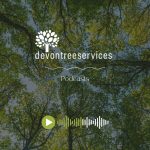 Devon Tree Services