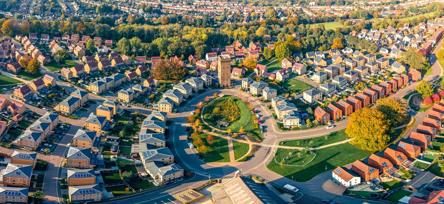 Tree Preservation Order