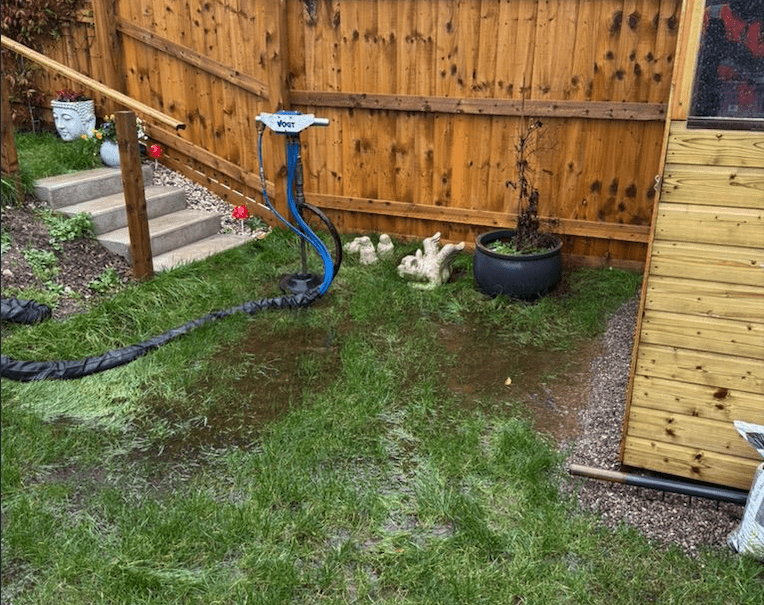 Backyard scene with a blue hose attached to a stand on a wet grassy lawn, a wooden fence in the background, and a Buddha head statue near stone steps on the left; a potted plant sits in a black planter on the right.