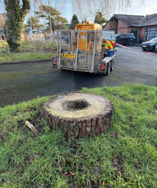 Stump Grinding