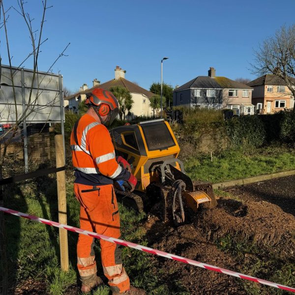 Stump Grinding Stump Grinding
