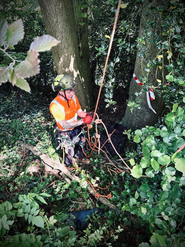 WhatsApp Image 2025-12-03 at 11.19.01