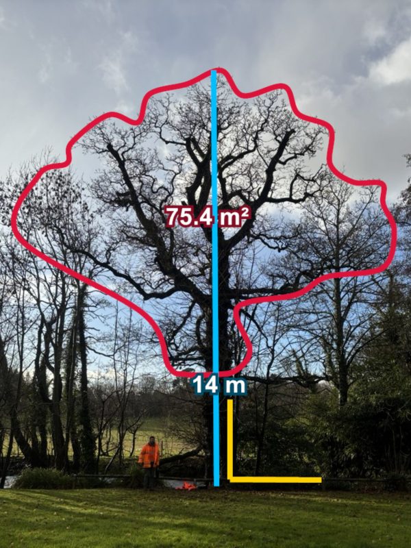 {"projectId":"6778200b1ca84d5ea288485806c364ee"}