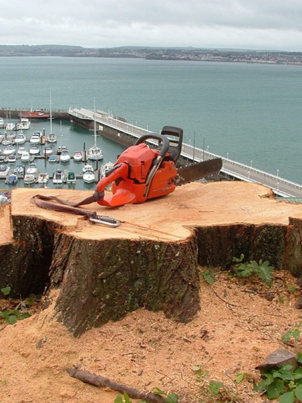 case-rock-walk-torquay7
