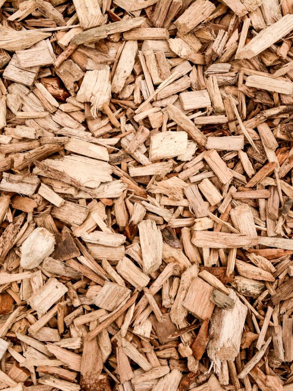 Closeup shot of wood chippings