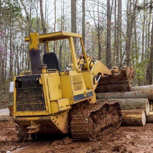 Freshly cut trees for residential construction in backhoe clearing forest on land clearing Freshly cut trees for residential construction in backhoe clearing forest on land clearing