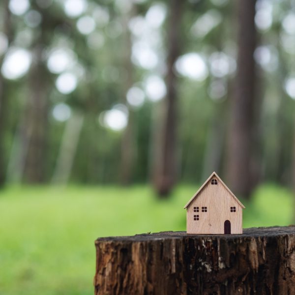 Wooden house models on tree stump in the outdoors