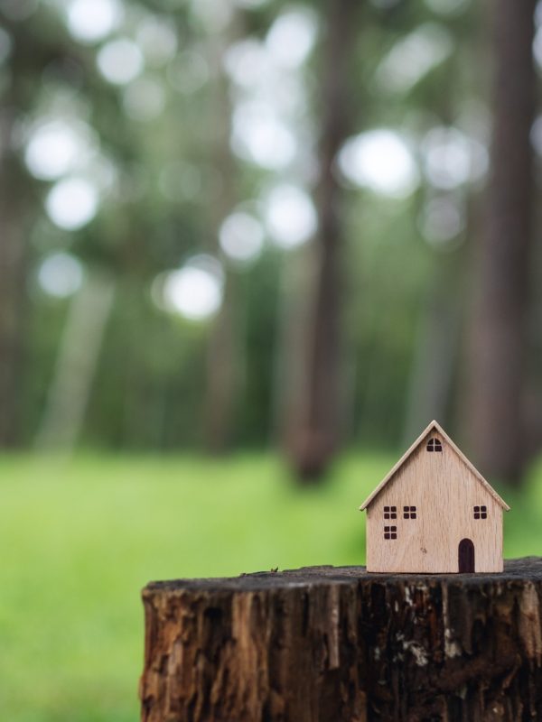 Wooden house models on tree stump in the outdoors